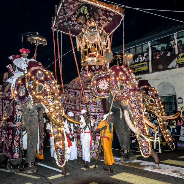 Esala Perahera - "festival of the tooth"